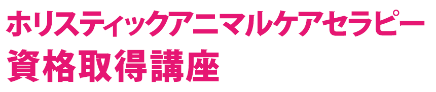 ホリスティックアニマルケア資格取得講座