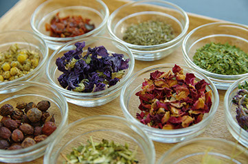 メディカルハーブ