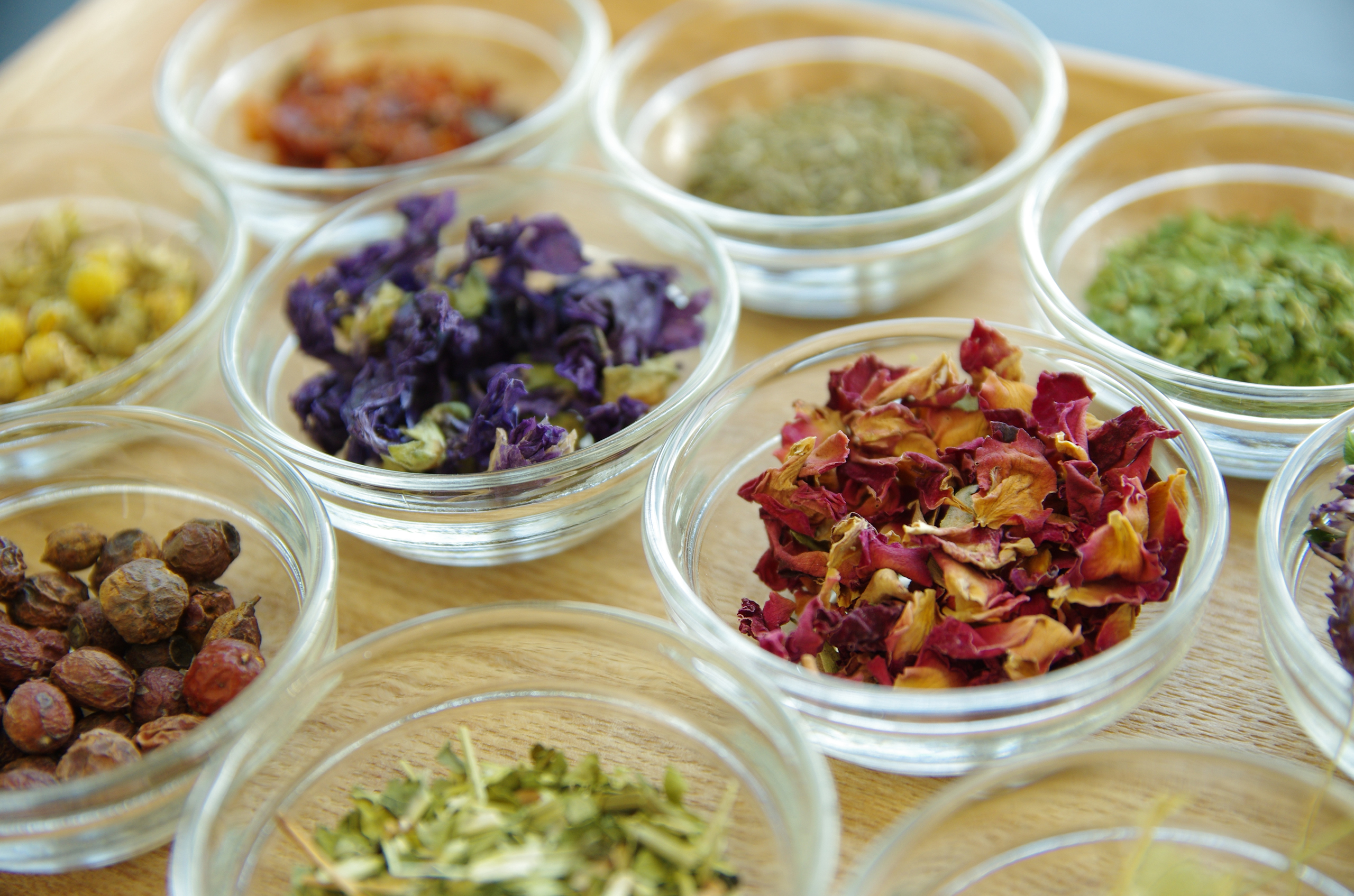 メディカルハーブ資格取得講座