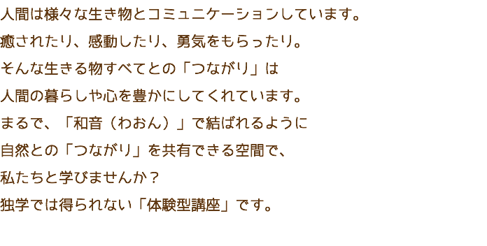 人間は様々な生き物とコミュニケーションしています。 癒されたり、感動したり、勇気をもらったり。 そんな生きる物すべてとの「つながり」は 人間の暮らしや心を豊かにしてくれています。 まるで、「和音（わおん）」で結ばれるように 自然との「つながり」を共有できる空間で、 私たちと学びませんか？ 独学では得られない「体験型講座」です。